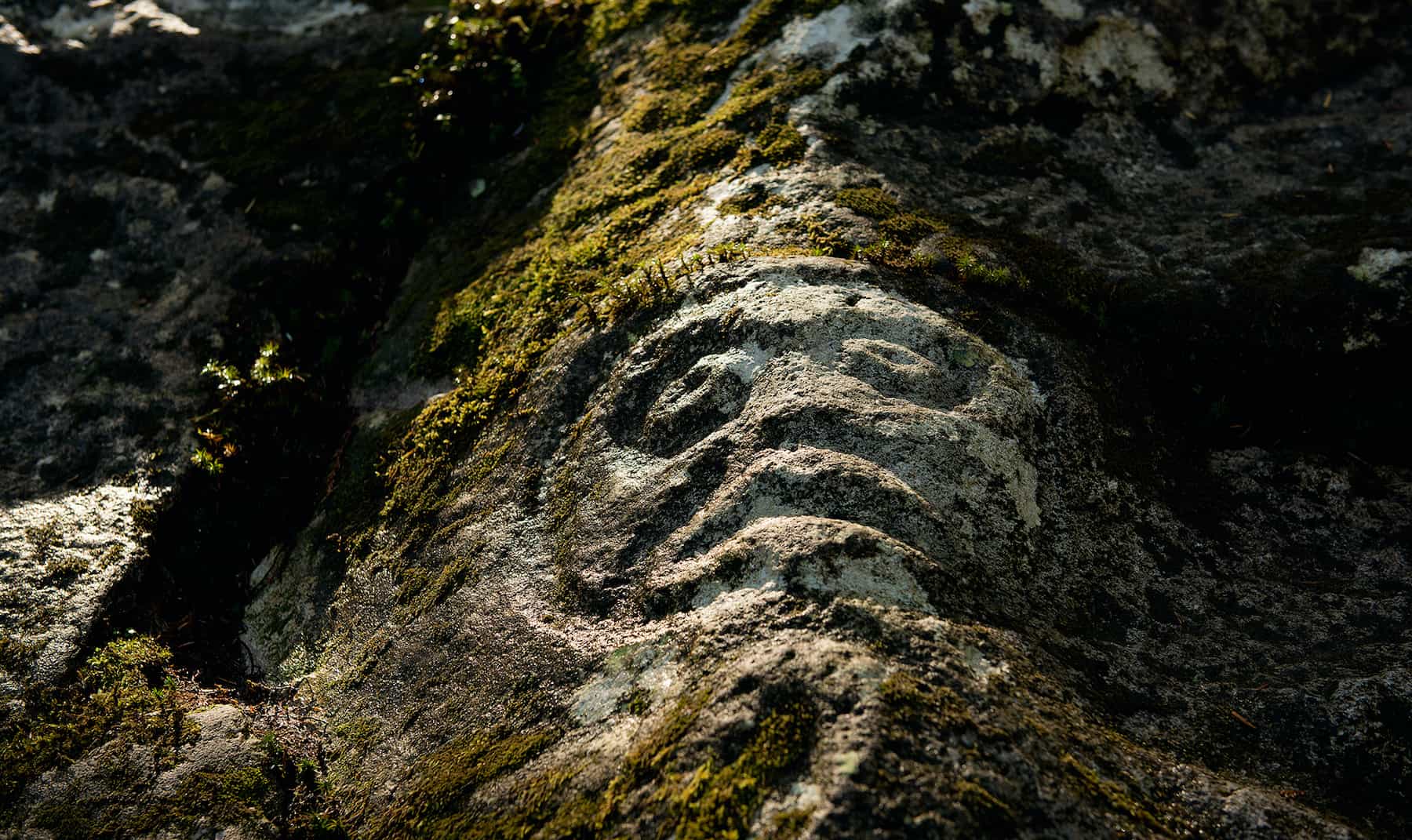 petroglyph rock